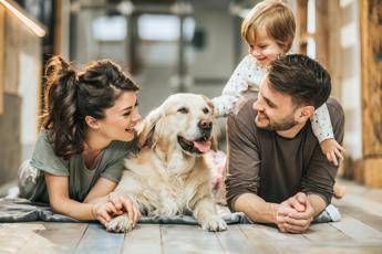 Assicurazioni per animali da Poste coperture veterinarie su misura per ogni necessita