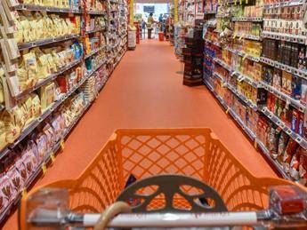 Consumi spesa famiglie stabile nel 2024 ma una su tre taglia quella alimentare