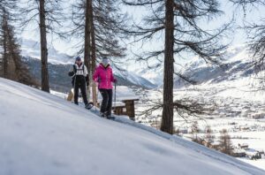 Livigno Snowshoes 3
