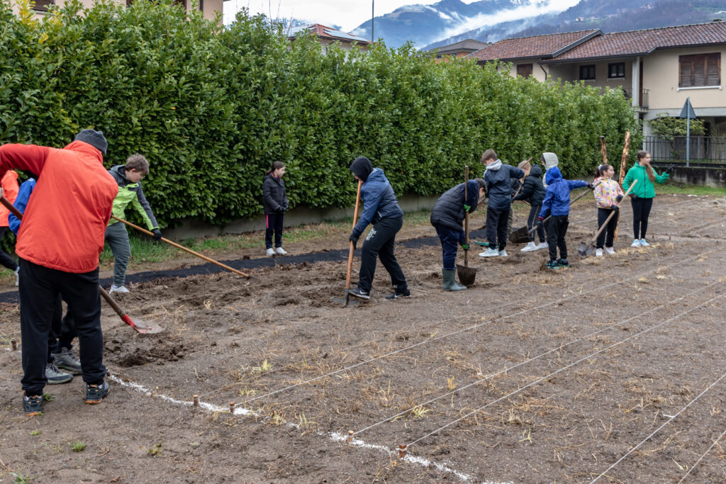 Progetto Radici di comunita – Educare insieme ad Auser Progetto Radici di comunita – Educare insieme ad Auser