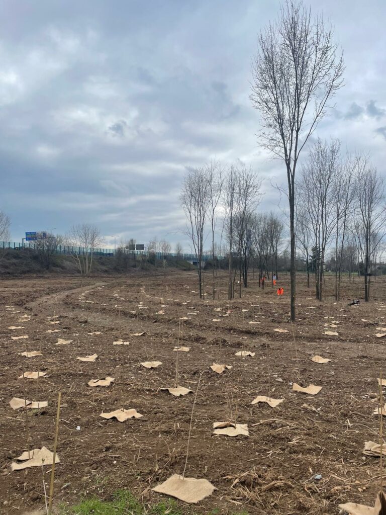 Sopralluogo al cantiere per la realizzazione del bosco urbano in via della Volta a Brescia Sopralluogo al cantiere per la realizzazione del bosco urbano in via della Volta a Brescia
