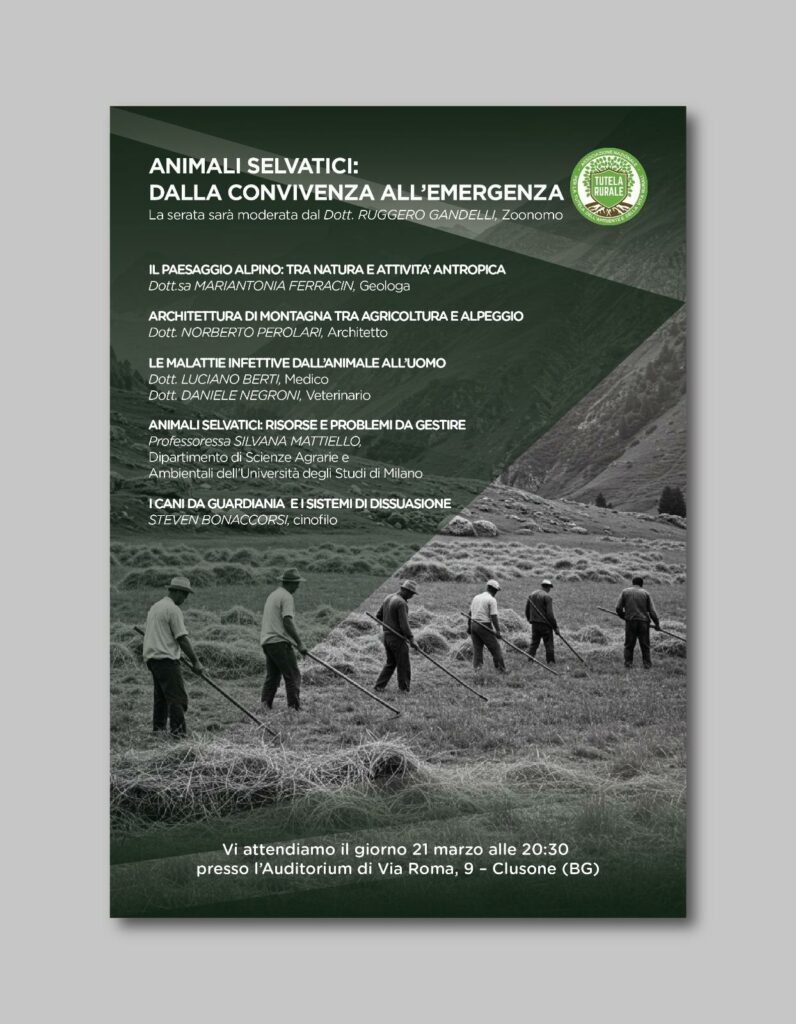 animali selvatici animali selvatici