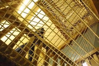 Allarme suicidi in carcere Forza Italia apre a riforme. Stop di Delmastro No a svuota carceri Allarme suicidi in carcere Forza Italia apre a riforme. Stop di Delmastro No a svuota carceri
