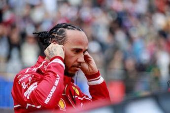 Hamilton e la marmotta investita Sono devastato io amo gli animali