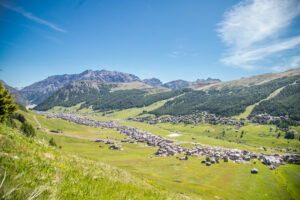Livigno Panorama estivo