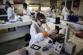 Tumori della testa e collo studio con pembrolizumab 27 rischio recidiva o morte