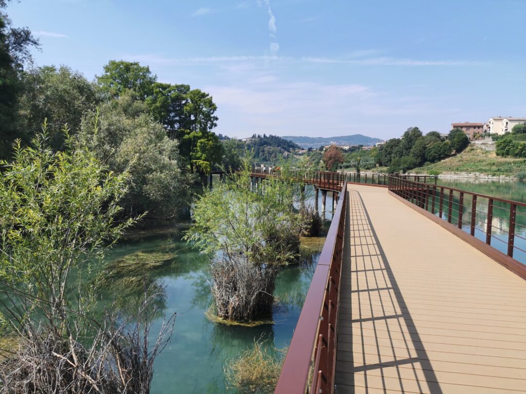 bosco taxodi sarnico