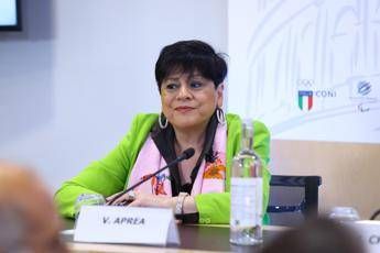 Aprea Constro il bullismo serve piu action learning per insegnare il confronto