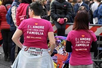 Fecondazione Consulta Entrambe le madri possono riconoscere figlio alla nascita Fecondazione Consulta Entrambe le madri possono riconoscere figlio alla nascita