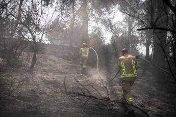 Israele ancora in fiamme Netanyahu 18 arresti per sospetto incendio doloso