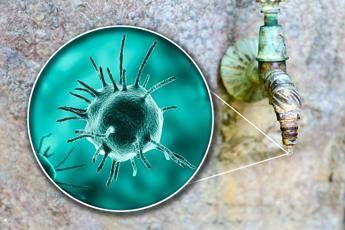 Malattie rare Sitrac Non accessibile farmaco approvato in cheratite da Acanthamoeba