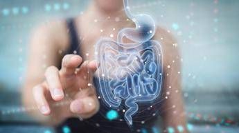 Microbiota fondamentale per il benessere studio svela il perche