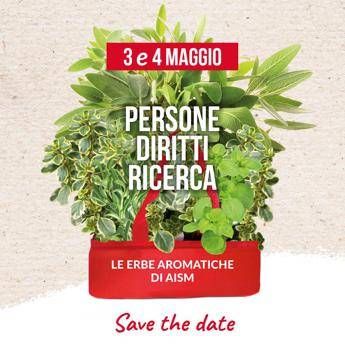 Ricerca le erbe aromatiche di Aism tornano in piazza per lotta alla sclerosi multipla
