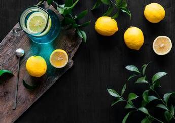 Bere acqua e limone al mattino fa bene Cosa dice lo scienziato Bere acqua e limone al mattino fa bene Cosa dice lo scienziato