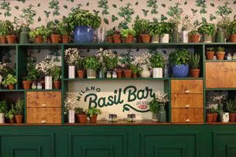 Food a Milano arriva il Basil Bar temporary bistrot dedicato al basilico