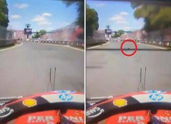 Gp Montreal Hamilton investe una marmotta. Poi i problemi ai freni Il video Gp Montreal Hamilton investe una marmotta. Poi i problemi ai freni Il video