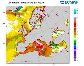 Mare rovente il Mediterraneo si scalda per la Marine Heatwave cose il fenomeno