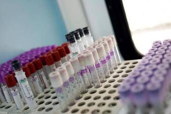 Mielofibrosi speranze da nuovo farmaco che limita lanemia in 2 pazienti su 3