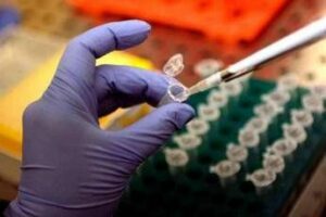 Farmaci anticorpo monoclonale possibile scudo contro batterio Shigella