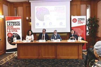 Fine vita pro vita famiglia a centrodestra Basta inseguire diktat Corte Costituzionale Fine vita pro vita famiglia a centrodestra Basta inseguire diktat Corte Costituzionale