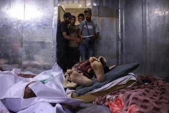 Gaza 101 morti in 24 ore. Trump Hamas si arrenda e finira la crisi umanitaria Gaza 101 morti in 24 ore. Trump Hamas si arrenda e finira la crisi umanitaria