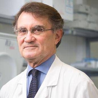 Italiana guarita dopo Lourdes il neurologo Esperienza al limite dellimpossibile