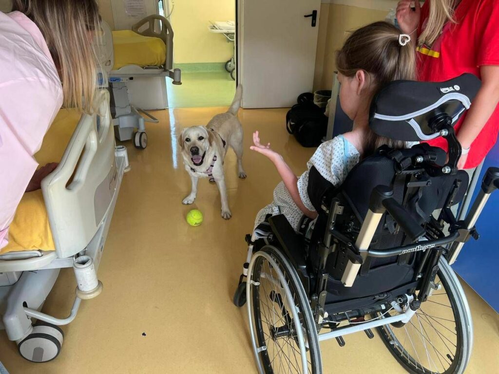 Sma al Besta studio benefici pet therapy con Purina e Fridas Friends