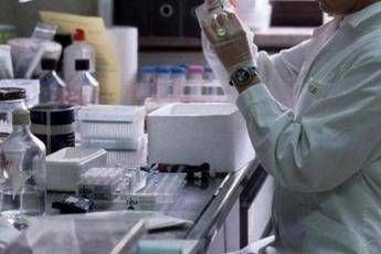 Tumori in Sardegna oltre 10mila casi lanno esperti Vaccini fondamentali in fragili Tumori in Sardegna oltre 10mila casi lanno esperti Vaccini fondamentali in fragili