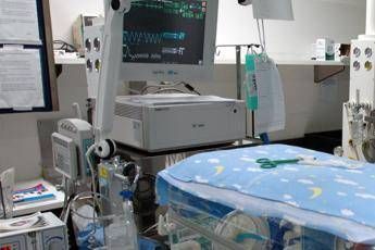 Bolzano neonati morti in ospedale stop a detergente contaminato Bolzano neonati morti in ospedale stop a detergente contaminato