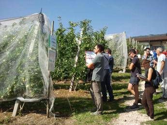 Bonus agricoltori al via da oggi le domande a chi spetta e come funziona Bonus agricoltori al via da oggi le domande a chi spetta e come funziona