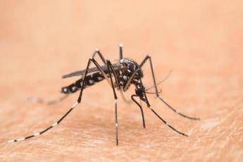 Cina e allarme Chikungunya oltre 7.700 casi