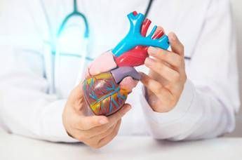 Come batte il cuore Ingegneri e matematici italiani risolvono il mistero Come batte il cuore Ingegneri e matematici italiani risolvono il mistero