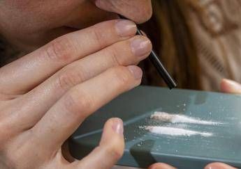 Dalla cocaina rosa alla ketamina ecco i rischi dello sballo nelle notti estive Dalla cocaina rosa alla ketamina ecco i rischi dello sballo nelle notti estive