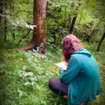 Disegno in natura Onore