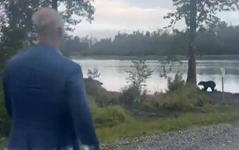 Dmitriev incontra un orso in Alaska prima del vertice Sia di buon auspicio Dmitriev incontra un orso in Alaska prima del vertice Sia di buon auspicio