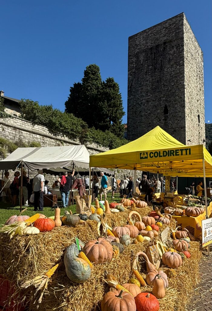 Domenica 31 agosto Mercato Campagna Amica SantAbbondi0 2