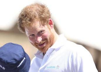 Harry non avrebbe dovuto litigare in pubblico la critica dellente benefico fondato dal principe Harry non avrebbe dovuto litigare in pubblico la critica dellente benefico fondato dal principe