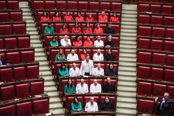 M5S deputati in aula con colori Palestina Governo volta sguardo dallaltra parte M5S deputati in aula con colori Palestina Governo volta sguardo dallaltra parte