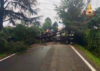 Maltempo al centronord alberi caduti e allagamenti oltre 1300 gli interventi dei Vigili del Fuoco Maltempo al centronord alberi caduti e allagamenti oltre 1300 gli interventi dei Vigili del Fuoco