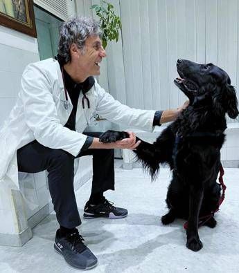 Nelle case degli italiani 8 milioni di cani compagni ma anche un po medici