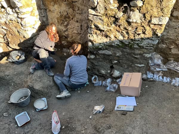 Valtellina un bambino di 1.000 anni fa torna a raccontarci la sua storia la scoperta dellUniversita di Bergamo Valtellina un bambino di 1.000 anni fa torna a raccontarci la sua storia la scoperta dellUniversita di Bergamo