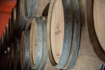 Vino con Santa Tresa torna in etichetta il vitigno siciliano scomparso Orisi Vino con Santa Tresa torna in etichetta il vitigno siciliano scomparso Orisi