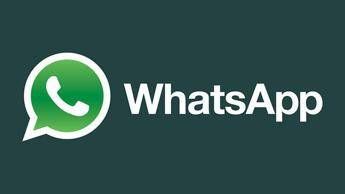 WhatsApp introduce le foto animate e accelera sullIA