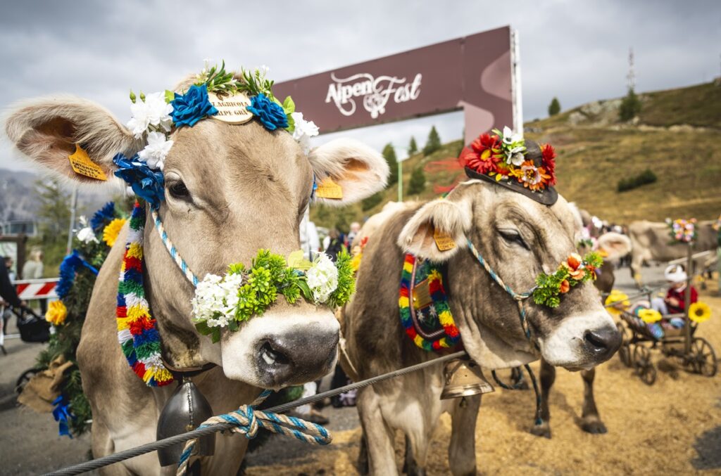 Alpenfest 2024 6 Alpenfest 2024 6