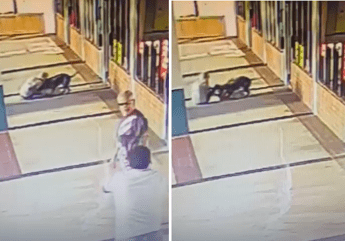 Donna prende a morsi un pitbull per salvare il suo cane il video choc
