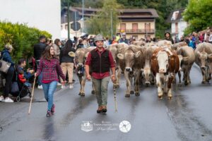 Festa della Transumanza di Borno tre giorni di tradizione gusto e comunita