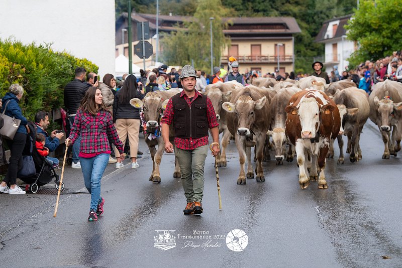 Festa della Transumanza di Borno tre giorni di tradizione gusto e comunita