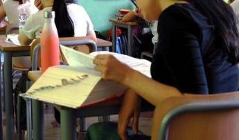 Maturita ok Cdm al dl scuola. Valditara Chi fa scena muta allorale sara bocciato Maturita ok Cdm al dl scuola. Valditara Chi fa scena muta allorale sara bocciato