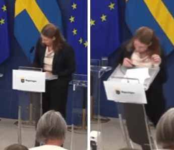 Ministra della Salute svedese Elisabet Lann sviene in conferenza stampa Il video
