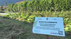 Radici di Comunita Educare insieme ad Auser